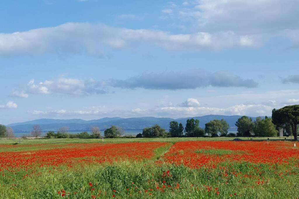 Bellavista La Tua Romantica Vacanza Sul Trasimeno 카스틸리오네델라고 외부 사진