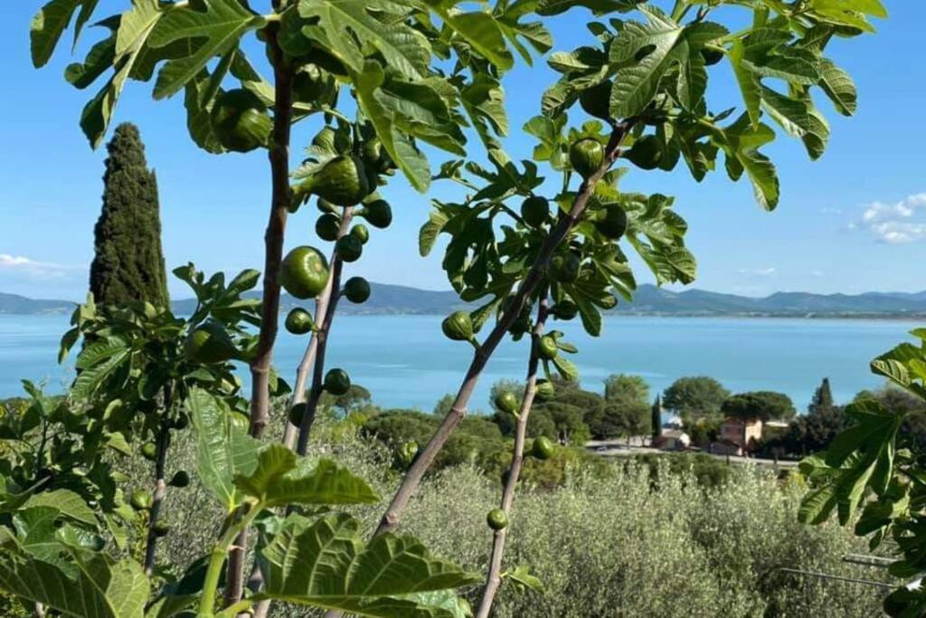 Bellavista La Tua Romantica Vacanza Sul Trasimeno 카스틸리오네델라고 외부 사진