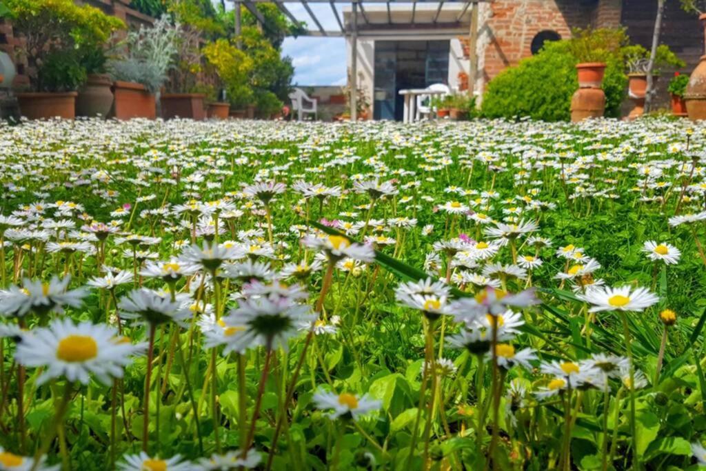 Bellavista La Tua Romantica Vacanza Sul Trasimeno 카스틸리오네델라고 외부 사진