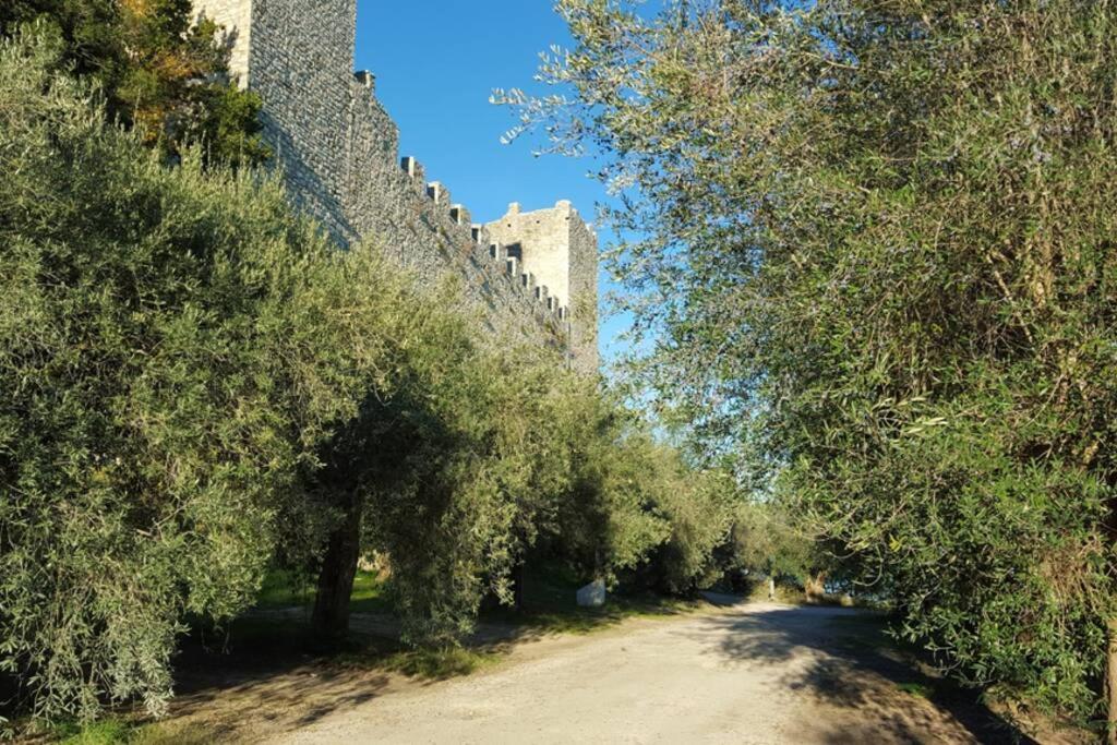 Bellavista La Tua Romantica Vacanza Sul Trasimeno 카스틸리오네델라고 외부 사진