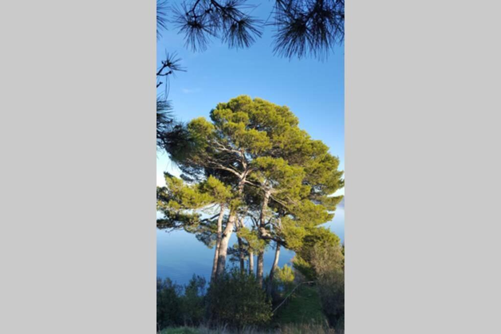 Bellavista La Tua Romantica Vacanza Sul Trasimeno 카스틸리오네델라고 외부 사진