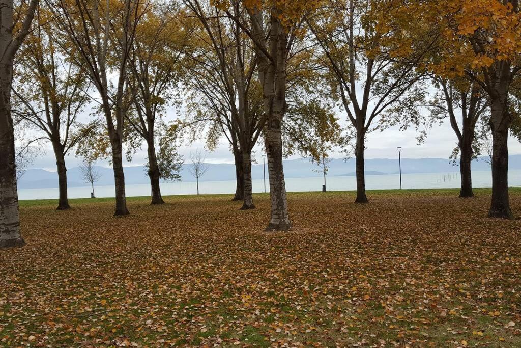 Bellavista La Tua Romantica Vacanza Sul Trasimeno 카스틸리오네델라고 외부 사진