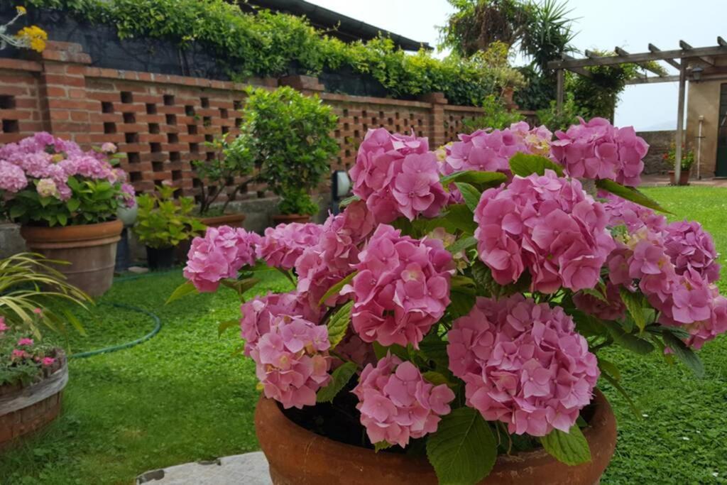 Bellavista La Tua Romantica Vacanza Sul Trasimeno 카스틸리오네델라고 외부 사진