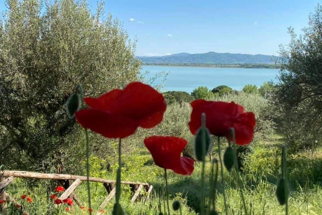 카스틸리오네델라고 Bellavista La Tua Romantica Vacanza Sul Trasimeno 아파트 외부 사진