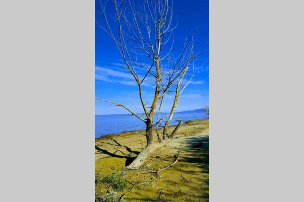 Bellavista La Tua Romantica Vacanza Sul Trasimeno 카스틸리오네델라고 외부 사진