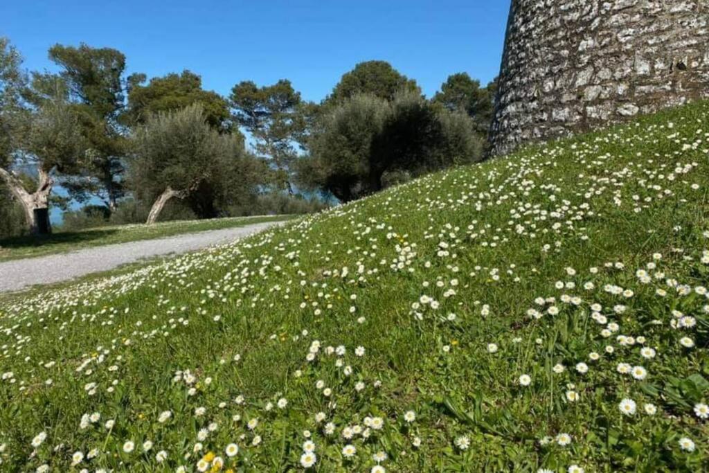 Bellavista La Tua Romantica Vacanza Sul Trasimeno 카스틸리오네델라고 외부 사진
