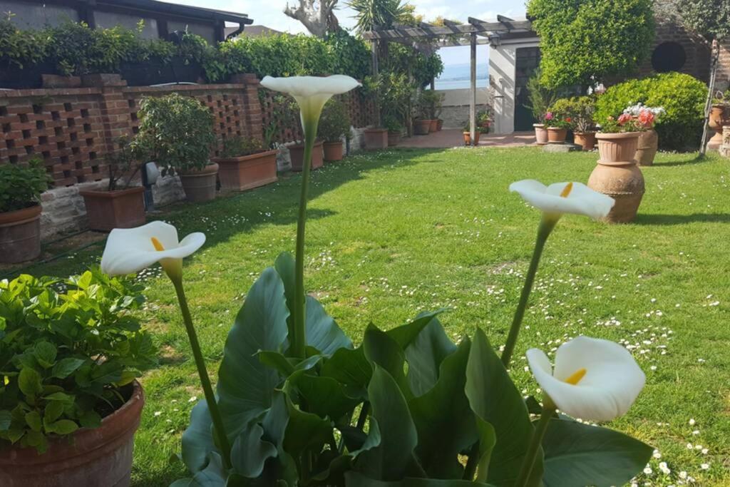 Bellavista La Tua Romantica Vacanza Sul Trasimeno 카스틸리오네델라고 외부 사진