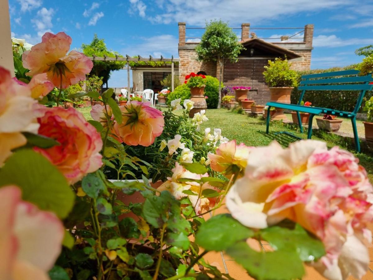 Bellavista La Tua Romantica Vacanza Sul Trasimeno 카스틸리오네델라고 외부 사진