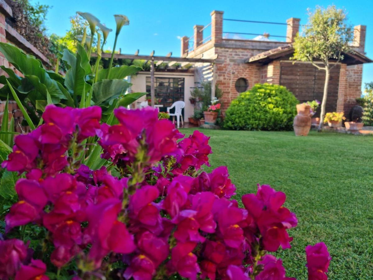 Bellavista La Tua Romantica Vacanza Sul Trasimeno 카스틸리오네델라고 외부 사진